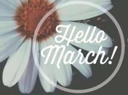 2018年属鼠人的全年运势看看属鼠人2018年运势运程如何