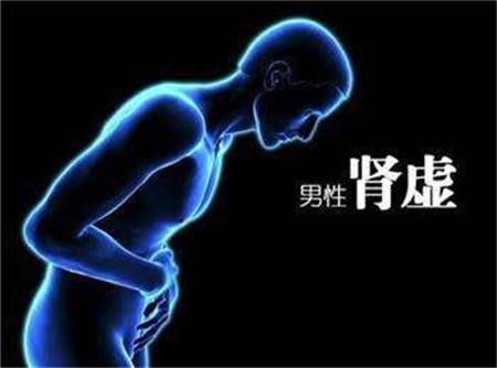 男人肾总是不太好要吃什么,男人肾透支了吃什么东西能补肾