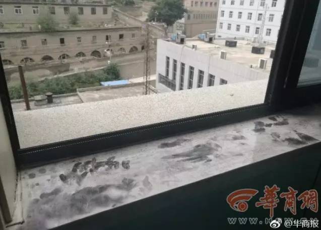 产妇坠楼事件,2017年产妇坠楼事件