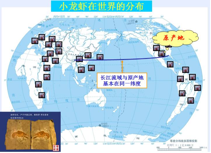 小龙虾最新现状,小龙虾的发展情况