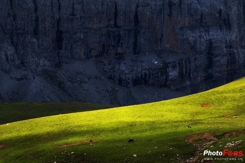 一镜走天下镜头推荐腾龙17-70,一镜走天下腾龙z70-300
