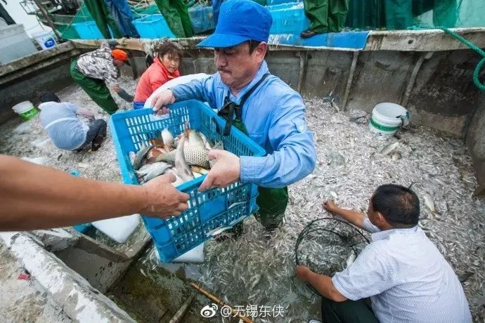 无锡秋季旅游景点攻略,无锡秋季景点推荐旅游攻略