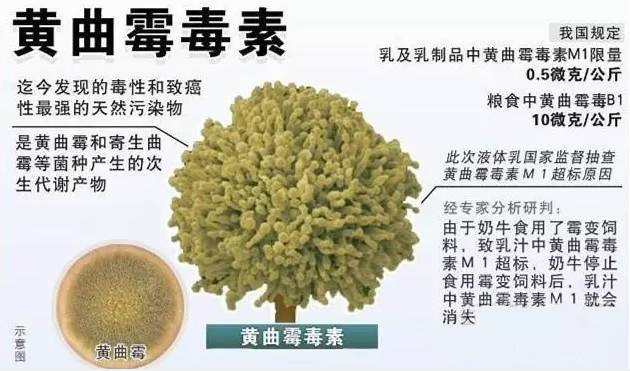 经常喝普洱的可怕后果,喝普洱的危害有多大