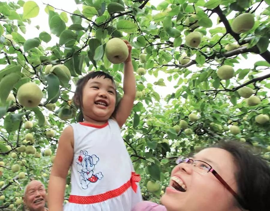 孟津土特产有哪些图片和名字,孟津特产必买清单