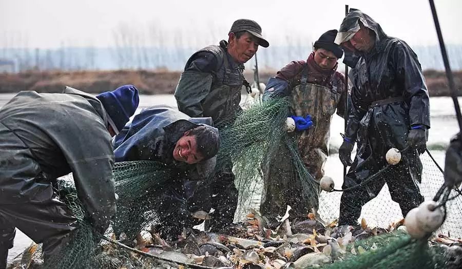 孟津土特产有哪些图片和名字,孟津特产必买清单