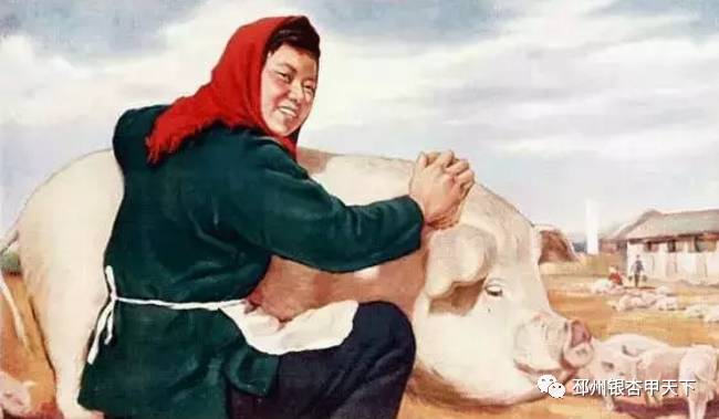 怎么证明你是邳州人,真正的邳州人