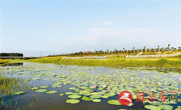 西平钟灵毓秀兴业地宜居宜游幸福城