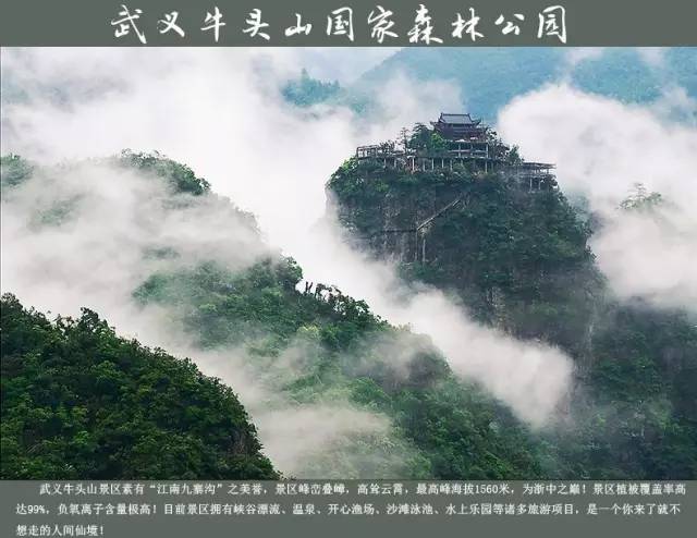 用口碑说话!金华人民这周末来这里看车,既有特大优惠又能见到大咖,这么好?