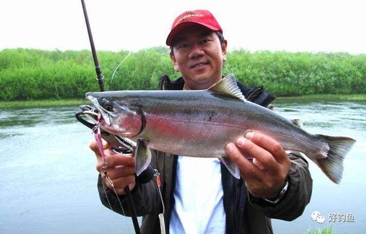 路亚的新手使用教程,路亚使用教程大全