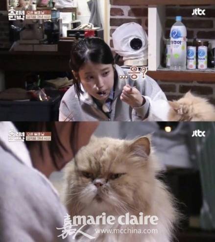 孝利家的民宿iu哪一期,孝利家民宿客人对iu的评价