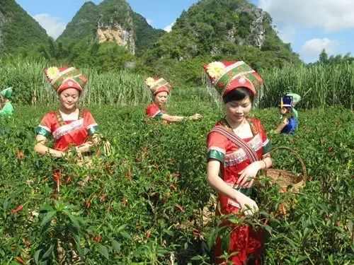 广西最美山水小城,广西山水美如人间仙境在哪里