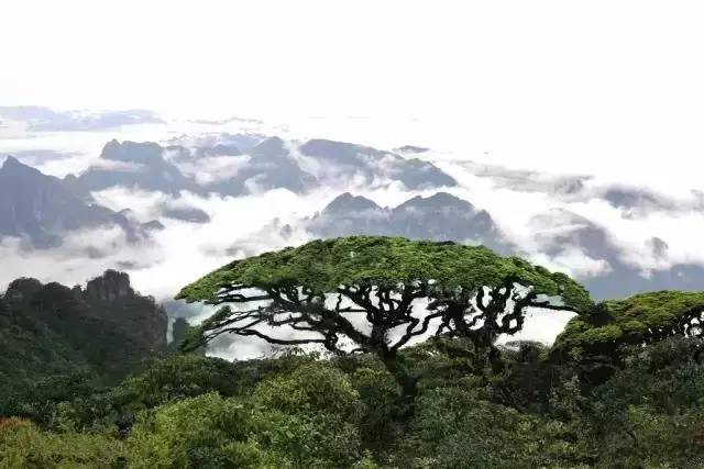 广西最美山水小城,广西山水美如人间仙境在哪里