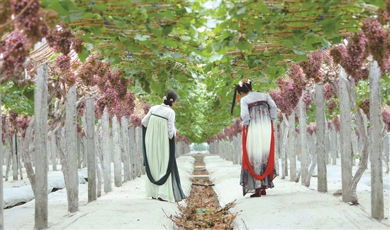 眉山天府新区彭山最新详细规划,眉山天府新区新片区规划