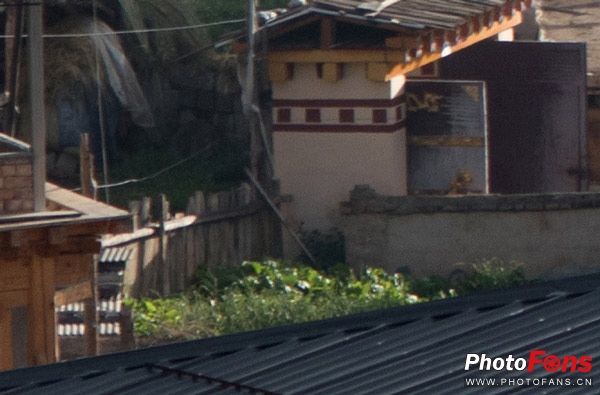 一镜走天下镜头推荐腾龙17-70,一镜走天下腾龙z70-300