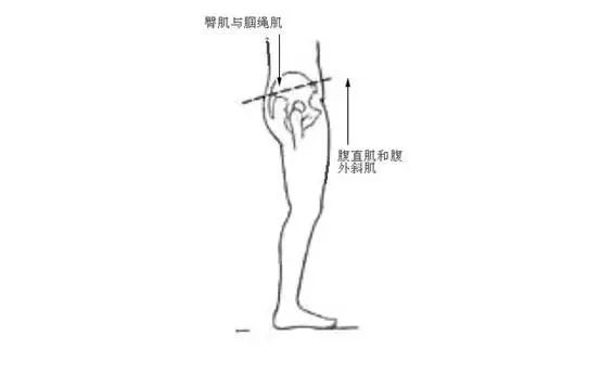 第917期|骨架与平衡!人体架子是练好太极拳的大问题(推荐阅读)