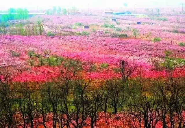 丰润景色好的地方,丰润景色最好的地方