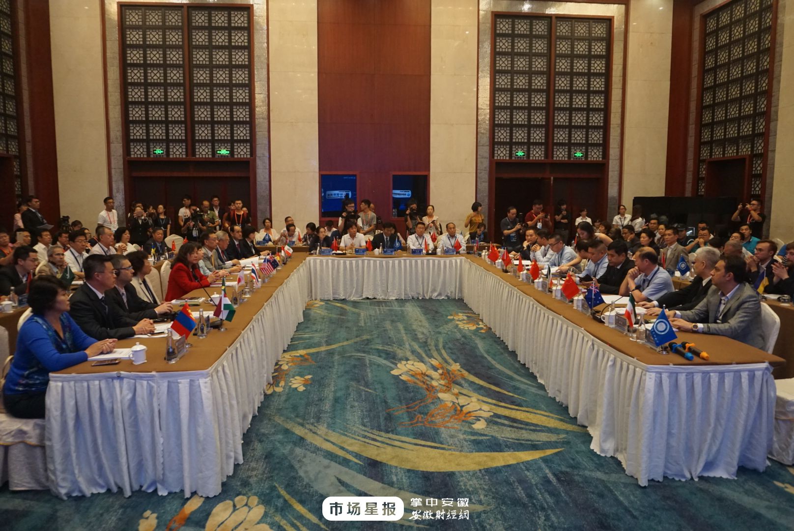 亳州2019年药博会,2016亳州药博会开幕式