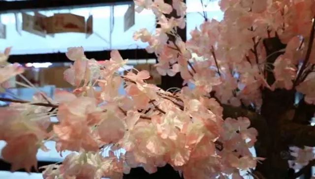 「霸王餐」请问你今天要来点兔子吗？火遍朋友圈的网红抹茶店要送“绿”了！