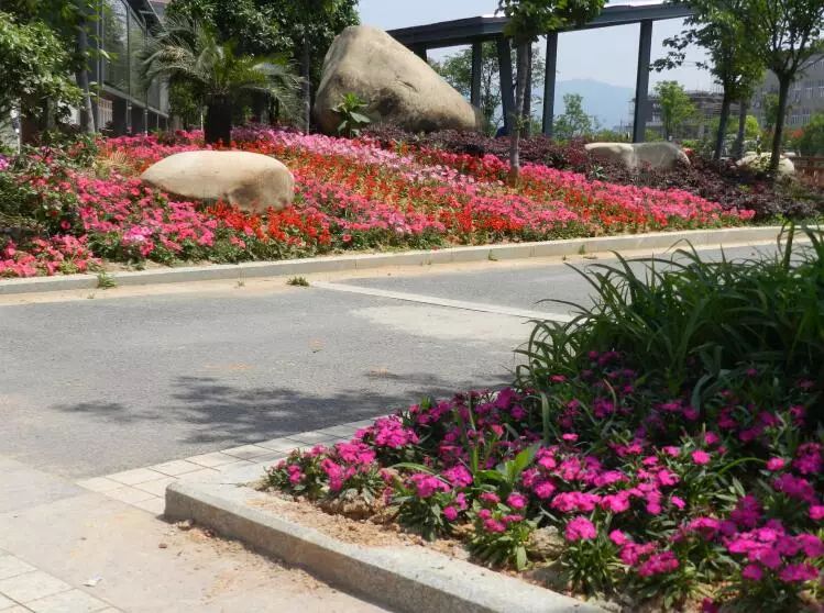 古山小城市建设规划图,古山镇最新规划图