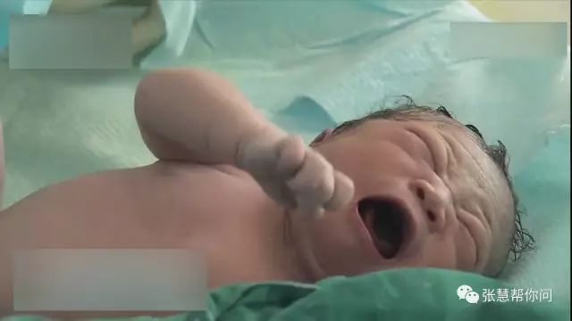 这几个品牌的奶粉被央视曝光 (最近爆出哪几个牌子奶粉有问题)