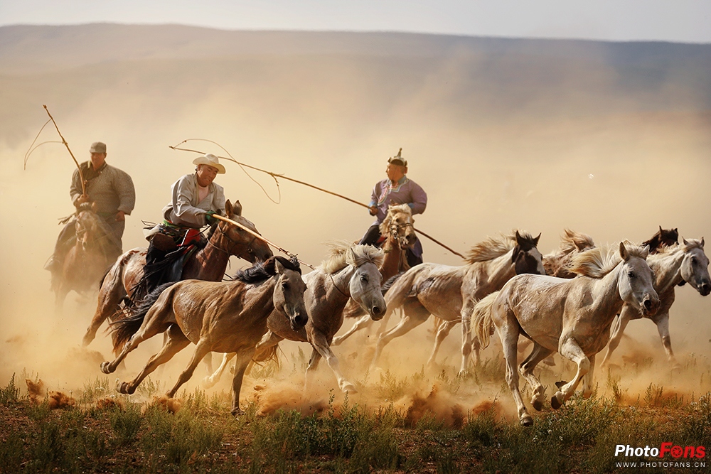 草原奔马拍摄技巧,草原骑马照片怎么拍