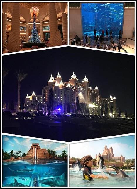 英英自驾旅游,迪拜自驾七日游攻略