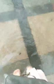 东莞最近有没有水淹现象,东莞市哪些地方被大暴雨淹了