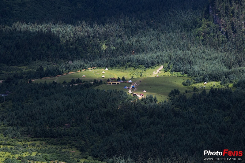 一镜走天下镜头推荐腾龙17-70,一镜走天下腾龙z70-300