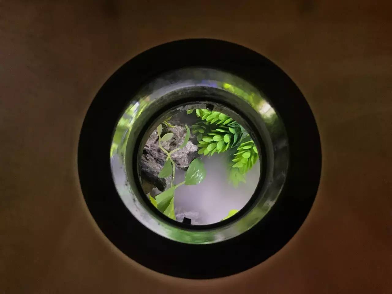 凤凰艺术|白立方呈现另一个鲜为人知的“王功新”,“轮回”重启