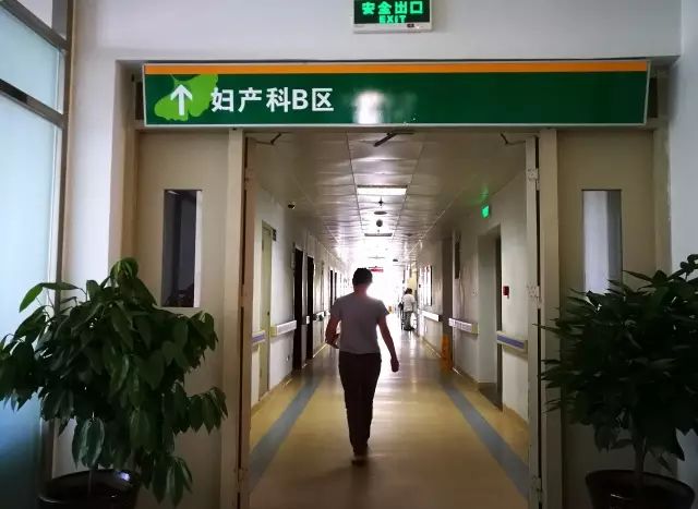 便民｜青白江的准爸准妈们！这儿有一份生育“大礼包”请查收！