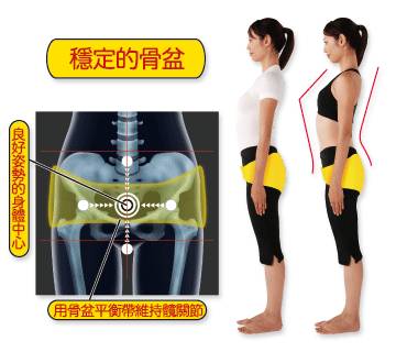 第917期|骨架与平衡!人体架子是练好太极拳的大问题(推荐阅读)