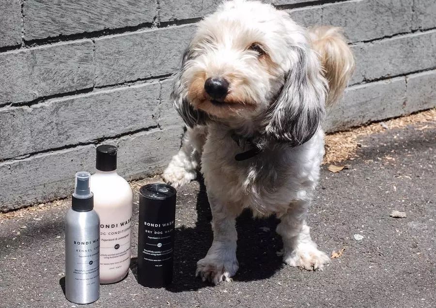 天然环保健康洗护用品,澳洲清洁用品推荐品牌