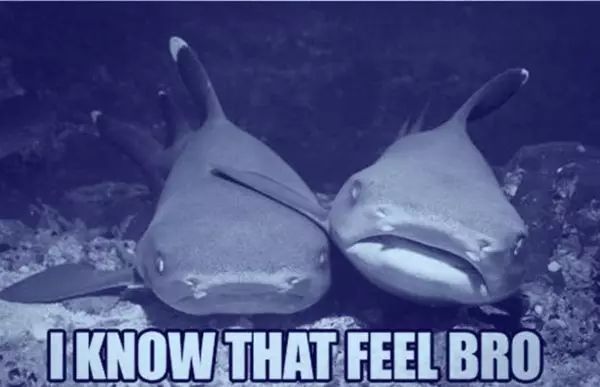 鞋子也可以用神仙水防晒霜，还可以做“脚膜”？