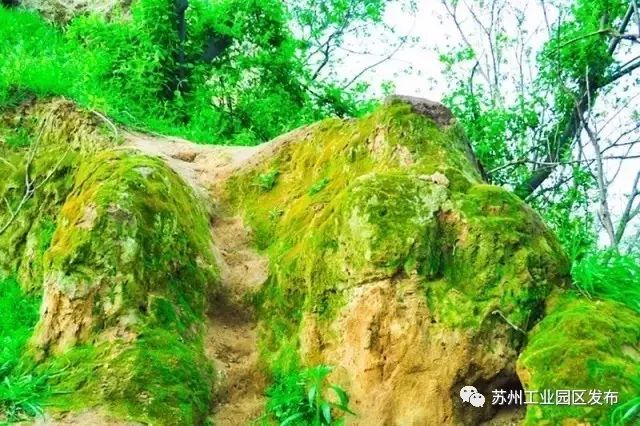 3000平方米绿地公园,兰州新区绿地体育公园