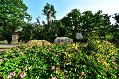 南宁中国绿城最新消息,中国绿城南宁旅游