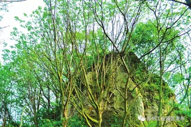 3000平方米绿地公园,兰州新区绿地体育公园