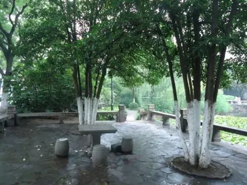 3000平方米绿地公园,兰州新区绿地体育公园