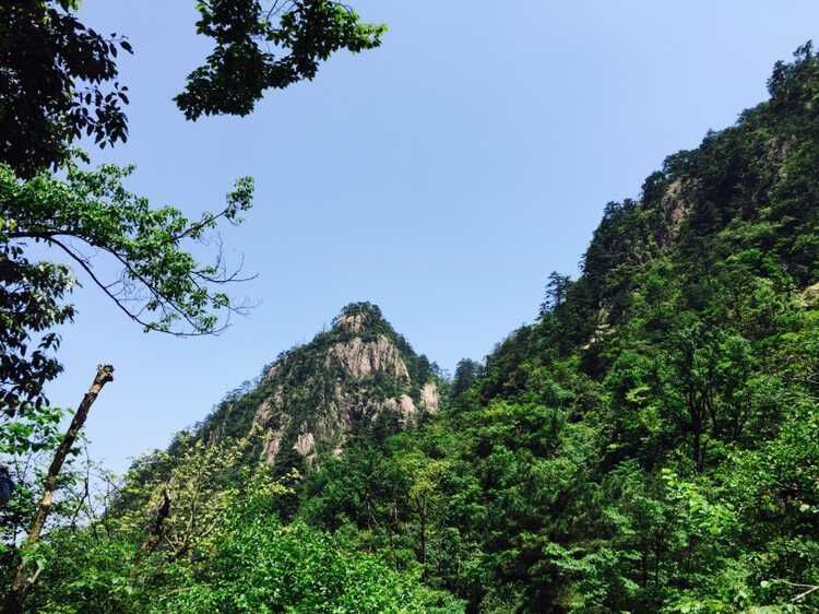 走近你就走进了痛苦出自哪里,走近你就是走近痛苦