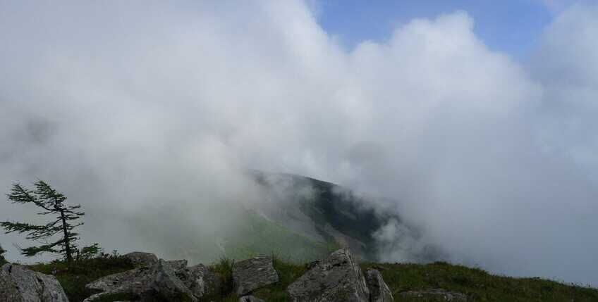 走近你就走进了痛苦出自哪里,走近你就是走近痛苦