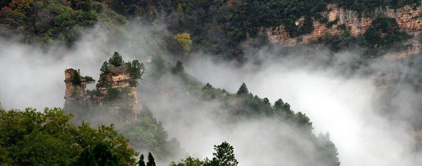走近你就走进了痛苦出自哪里,走近你就是走近痛苦