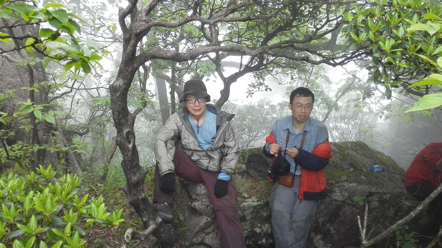 走近你就走进了痛苦出自哪里,走近你就是走近痛苦