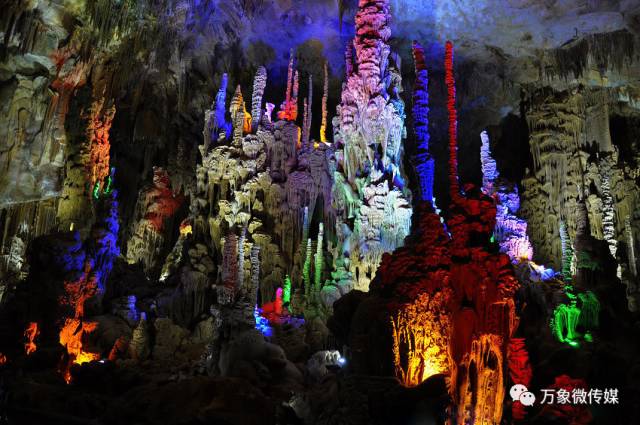 头条丨大家好！我叫巴马，这是我的简历，请多多关照！