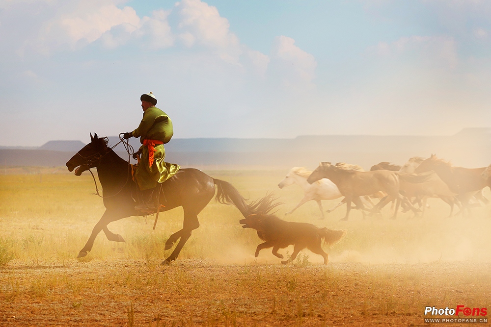 草原奔马拍摄技巧,草原骑马照片怎么拍