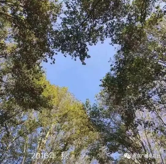 南京国庆人特别多的地方,南京国庆节去哪里玩不挤