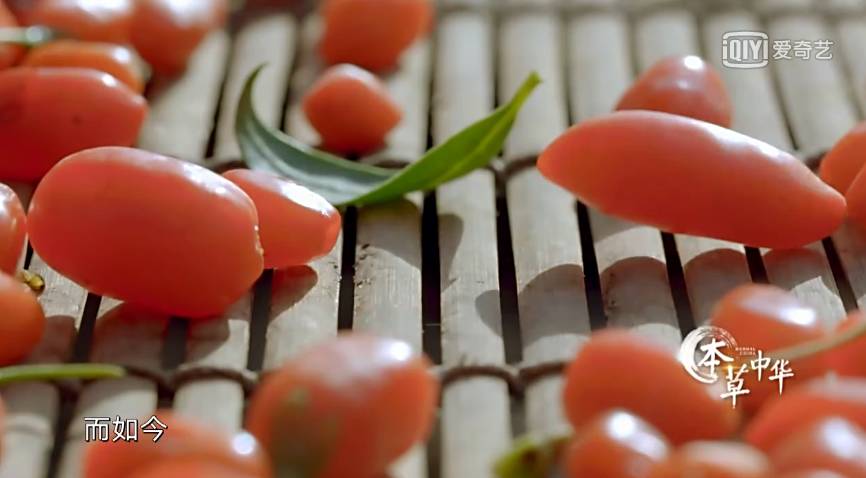 为了看这部豆瓣8.9的纪录片，我去商场买了一台4K电视