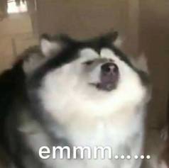 为了看这部豆瓣8.9的纪录片，我去商场买了一台4K电视