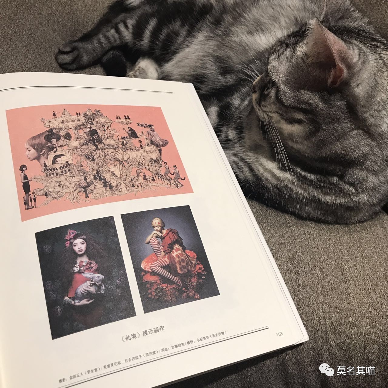 “黑暗系卡哇伊”是什么风格？樋口裕子（YukoHiguchi）笔下的猫咪异想世界