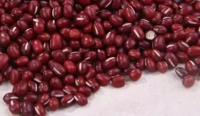 菘蓝花开|赤小豆——不为相思