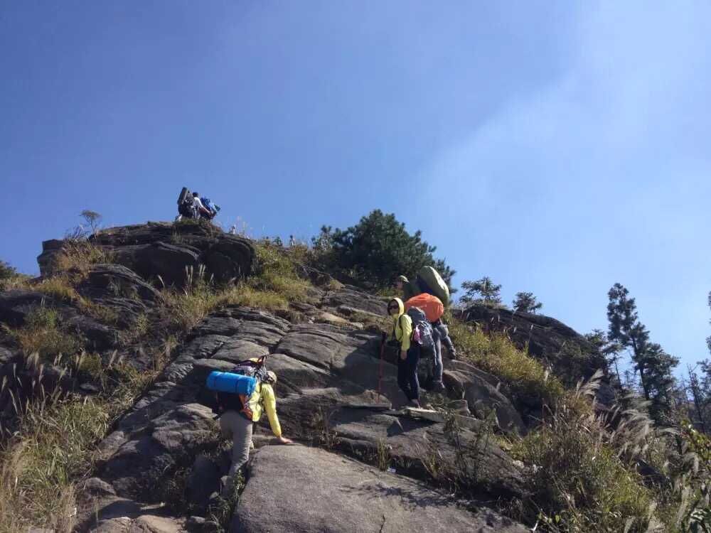 走近你就走进了痛苦出自哪里,走近你就是走近痛苦