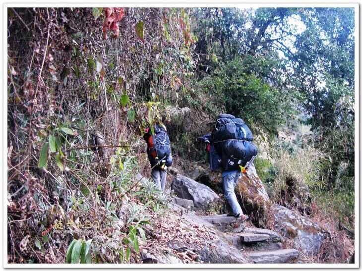 走近你就走进了痛苦出自哪里,走近你就是走近痛苦